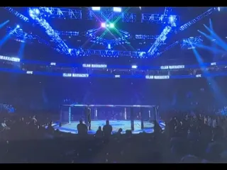 Хасбик в ufc 5 рифмы и панчи