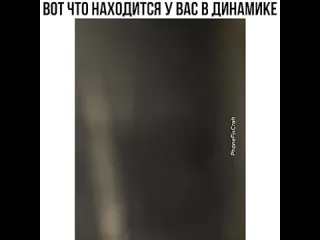 Что находится у вас в динамике