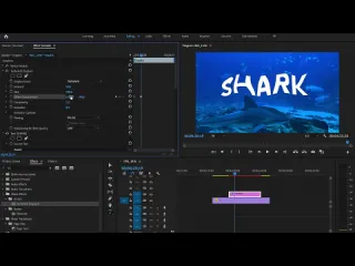 Уроки по видеомонтажу топ 5 простых крутых эффектов с текстом в adobe premiere pro