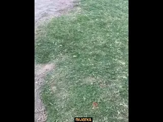 Пилотка