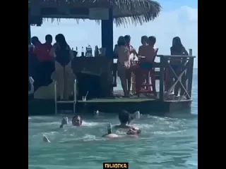 Пилотка