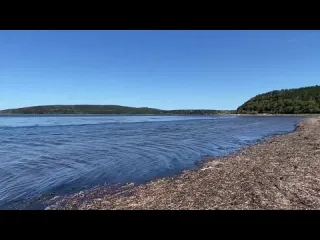 Жизнь художника жизнь на сахалине много мест в одном видео