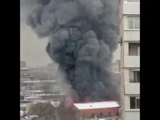 Видео очевидцев рифмы и панчи