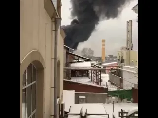 Видео очевидцев рифмы и панчи