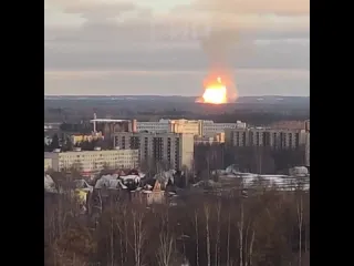 Видео очевидцев рифмы и панчи