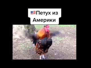 Сравнение америка vs россия под песню moskau 2 часть