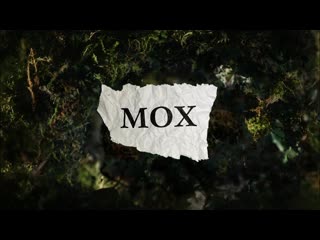 Oxxxymiron мох рифмы и панчи