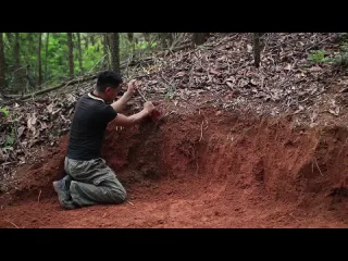 Primitive technology idea how i building wood house shelter and survival in the wild