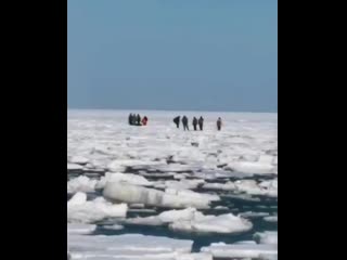 На сахалине несколько сотен рыбаков унесло на льдине в море рифмы и панчи