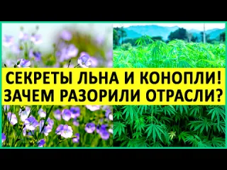 Юрий андреевич фролов зубная паста яд если в е составе есть это чем чистить зубы чтобы не угробить свое здоровье