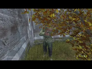 Macksos фекальная философия dayz stalker rp