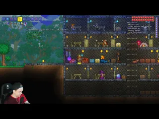 Officialzelel минибосс виверна добыл лучший лук дедала хардмод terraria террария прохождение на русском