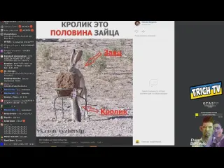 Trich tv обзор фотолупов глад валакас показал сво реальное фото