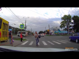 Видео дня барнаул дикии зверь на дороге