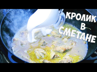 Вкусные советы самый вкусный кролик в сметане в казане на костре рецепт приготовления 1080p