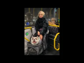 Разговорчивый