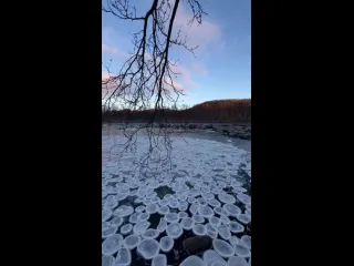 Ледяные блины в мурманской области рифмы и панчи