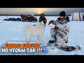 О рыбалке и не только с александром устаевым живм в тундре на льду я в ах такого клва не припомню трещали лески крош