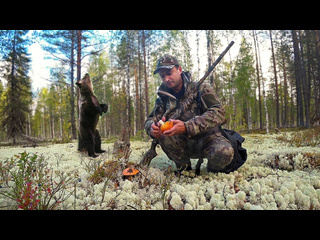 О рыбалке и не только с александром устаевым охота на грибы медведи обнаглели в конец байки устаича 1080p