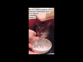 Не избалован