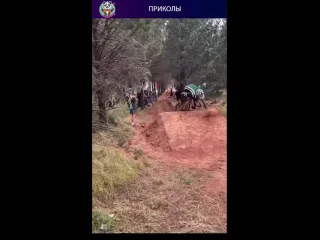 Шикарные формы