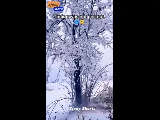 Хороший тамада вот