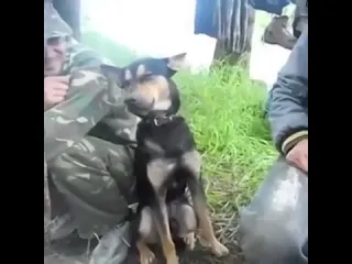 Видео от федя дичь