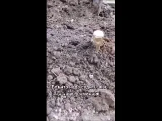Вот же гибкая
