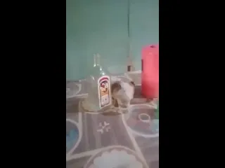 Видео от sparta video