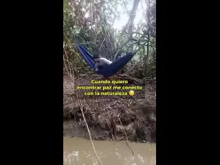 Больше его не видели