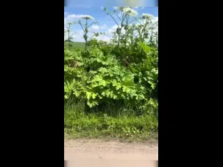 С женой не пропадшь