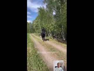 Кентавр существует