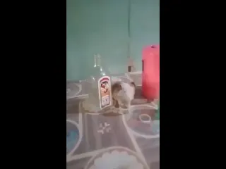 Видео от планета юмора