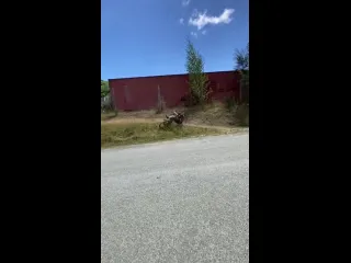 Дед оценил