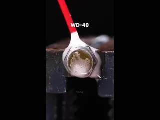 Zлой zаяц
