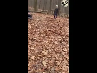 Виды шикарные