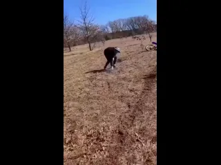 Ничего не понял
