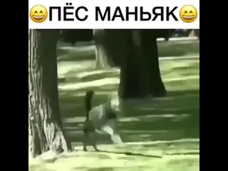 Видео от понять и простить